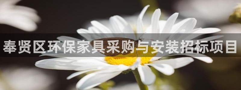 杏耀网址官网